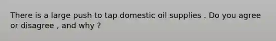 There is a large push to tap domestic oil supplies . Do you agree or disagree , and why ?