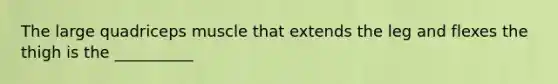 The large quadriceps muscle that extends the leg and flexes the thigh is the __________
