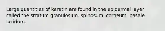 Large quantities of keratin are found in the epidermal layer called the stratum granulosum. spinosum. corneum. basale. lucidum.