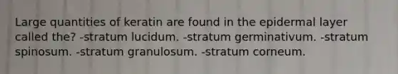 Large quantities of keratin are found in the epidermal layer called the? -stratum lucidum. -stratum germinativum. -stratum spinosum. -stratum granulosum. -stratum corneum.