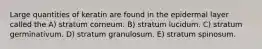 Large quantities of keratin are found in the epidermal layer called the A) stratum corneum. B) stratum lucidum. C) stratum germinativum. D) stratum granulosum. E) stratum spinosum.