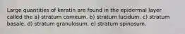 Large quantities of keratin are found in the epidermal layer called the a) stratum corneum. b) stratum lucidum. c) stratum basale. d) stratum granulosum. e) stratum spinosum.