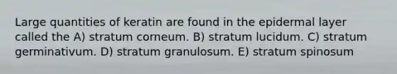 Large quantities of keratin are found in the epidermal layer called the A) stratum corneum. B) stratum lucidum. C) stratum germinativum. D) stratum granulosum. E) stratum spinosum