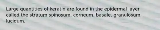 Large quantities of keratin are found in the epidermal layer called the stratum spinosum. corneum. basale. granulosum. lucidum.