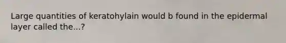 Large quantities of keratohylain would b found in the epidermal layer called the...?