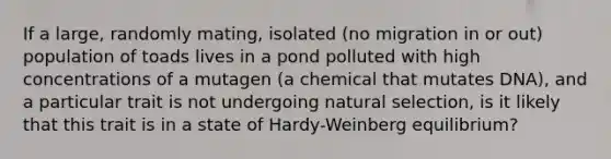 If a large, randomly mating, isolated (no migration in or out) population of toads lives in a pond polluted with high concentrations of a mutagen (a chemical that mutates DNA), and a particular trait is not undergoing natural selection, is it likely that this trait is in a state of Hardy-Weinberg equilibrium?