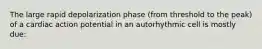 The large rapid depolarization phase (from threshold to the peak) of a cardiac action potential in an autorhythmic cell is mostly due: