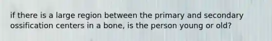 if there is a large region between the primary and secondary ossification centers in a bone, is the person young or old?
