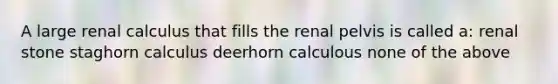 A large renal calculus that fills the renal pelvis is called a: renal stone staghorn calculus deerhorn calculous none of the above