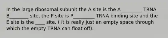 In the large ribosomal subunit the A site is the A_________ TRNA B________ site, the P site is P_________ TRNA binding site and the E site is the ____ site. ( it is really just an empty space through which the empty TRNA can float off).