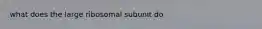 what does the large ribosomal subunit do