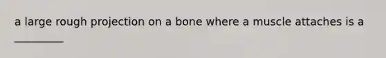 a large rough projection on a bone where a muscle attaches is a _________