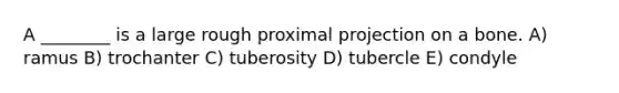 A ________ is a large rough proximal projection on a bone. A) ramus B) trochanter C) tuberosity D) tubercle E) condyle