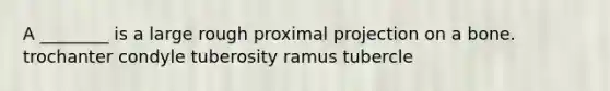 A ________ is a large rough proximal projection on a bone. trochanter condyle tuberosity ramus tubercle