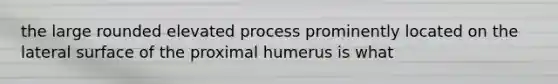 the large rounded elevated process prominently located on the lateral surface of the proximal humerus is what