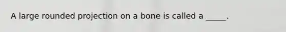 A large rounded projection on a bone is called a _____.