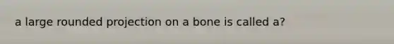 a large rounded projection on a bone is called a?