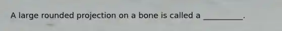 A large rounded projection on a bone is called a __________.