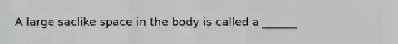 A large saclike space in the body is called a ______