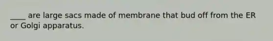 ____ are large sacs made of membrane that bud off from the ER or Golgi apparatus.