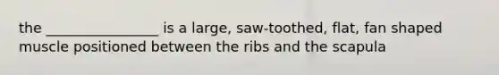 the ________________ is a large, saw-toothed, flat, fan shaped muscle positioned between the ribs and the scapula