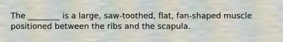 The ________ is a large, saw-toothed, flat, fan-shaped muscle positioned between the ribs and the scapula.