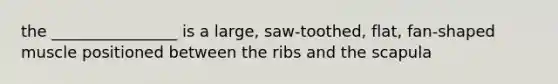 the ________________ is a large, saw-toothed, flat, fan-shaped muscle positioned between the ribs and the scapula