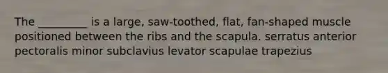 The _________ is a large, saw-toothed, flat, fan-shaped muscle positioned between the ribs and the scapula. serratus anterior pectoralis minor subclavius levator scapulae trapezius