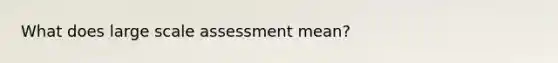 What does large scale assessment mean?