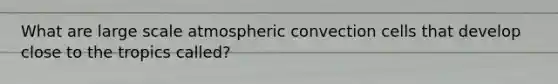 What are large scale atmospheric convection cells that develop close to the tropics called?