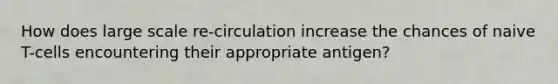 How does large scale re-circulation increase the chances of naive T-cells encountering their appropriate antigen?