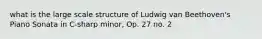 what is the large scale structure of Ludwig van Beethoven's Piano Sonata in C-sharp minor, Op. 27 no. 2