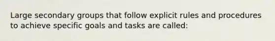 Large secondary groups that follow explicit rules and procedures to achieve specific goals and tasks are called: