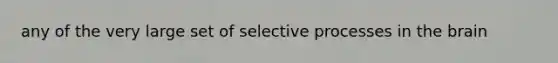 any of the very large set of selective processes in the brain