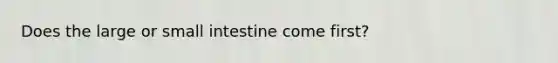 Does the large or small intestine come first?