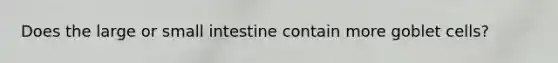 Does the large or small intestine contain more goblet cells?