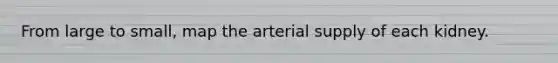 From large to small, map the arterial supply of each kidney.