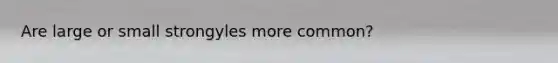 Are large or small strongyles more common?