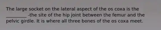 The large socket on the lateral aspect of the os coxa is the _________ -the site of the hip joint between the femur and the pelvic girdle. It is where all three bones of the os coxa meet.