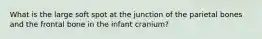 What is the large soft spot at the junction of the parietal bones and the frontal bone in the infant cranium?