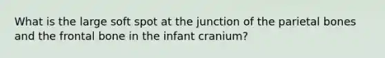 What is the large soft spot at the junction of the parietal bones and the frontal bone in the infant cranium?