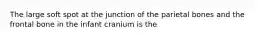The large soft spot at the junction of the parietal bones and the frontal bone in the infant cranium is the