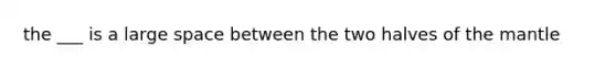 the ___ is a large space between the two halves of <a href='https://www.questionai.com/knowledge/kHR4HOnNY8-the-mantle' class='anchor-knowledge'>the mantle</a>