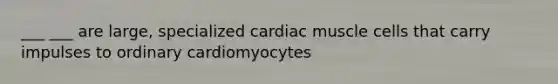 ___ ___ are large, specialized cardiac muscle cells that carry impulses to ordinary cardiomyocytes