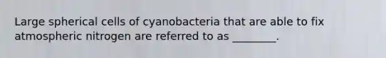 Large spherical cells of cyanobacteria that are able to fix atmospheric nitrogen are referred to as ________.