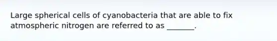 Large spherical cells of cyanobacteria that are able to fix atmospheric nitrogen are referred to as _______.