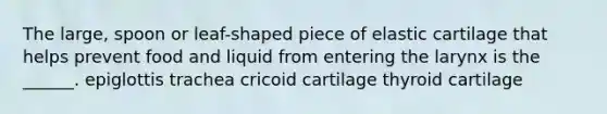 The large, spoon or leaf-shaped piece of elastic cartilage that helps prevent food and liquid from entering the larynx is the ______. epiglottis trachea cricoid cartilage thyroid cartilage