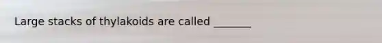 Large stacks of thylakoids are called _______