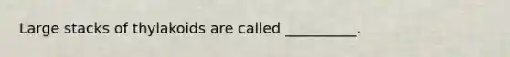 Large stacks of thylakoids are called __________.