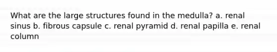 What are the large structures found in the medulla? a. renal sinus b. fibrous capsule c. renal pyramid d. renal papilla e. renal column